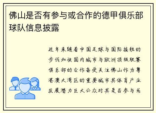 佛山是否有参与或合作的德甲俱乐部球队信息披露