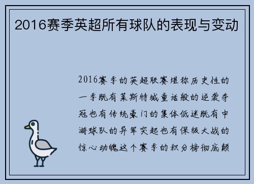 2016赛季英超所有球队的表现与变动